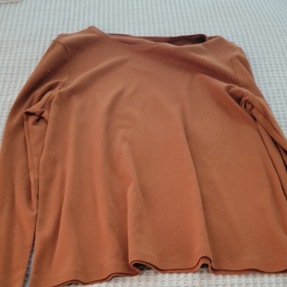 Talbots Warm Brown Sweatshirt